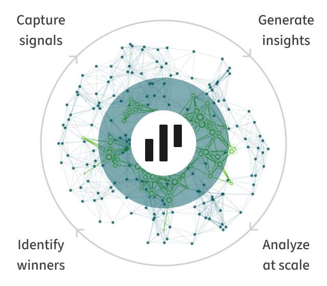Identify themes and patterns